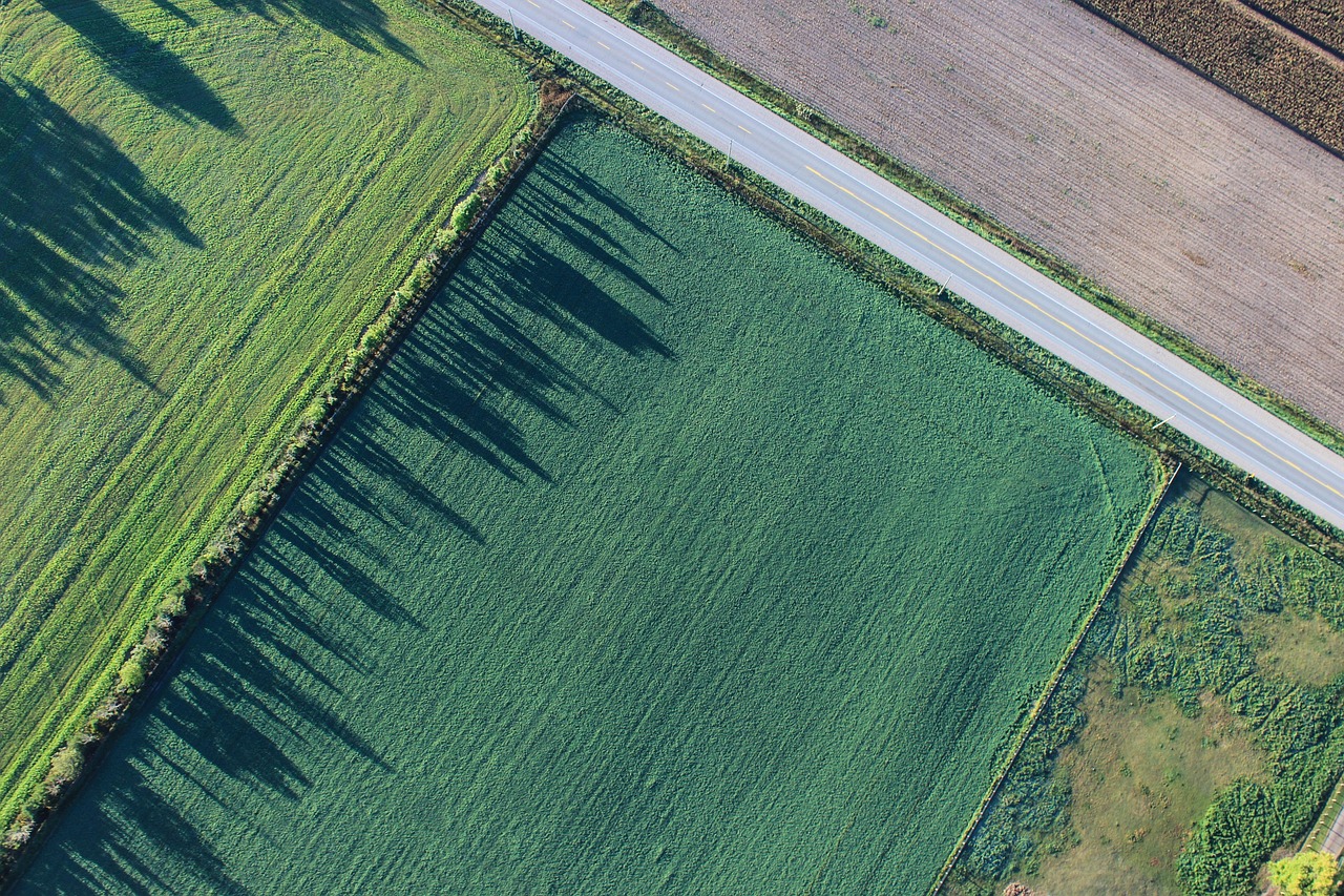 /post/custom-image-map-leaflet/images/featured-image.jpg